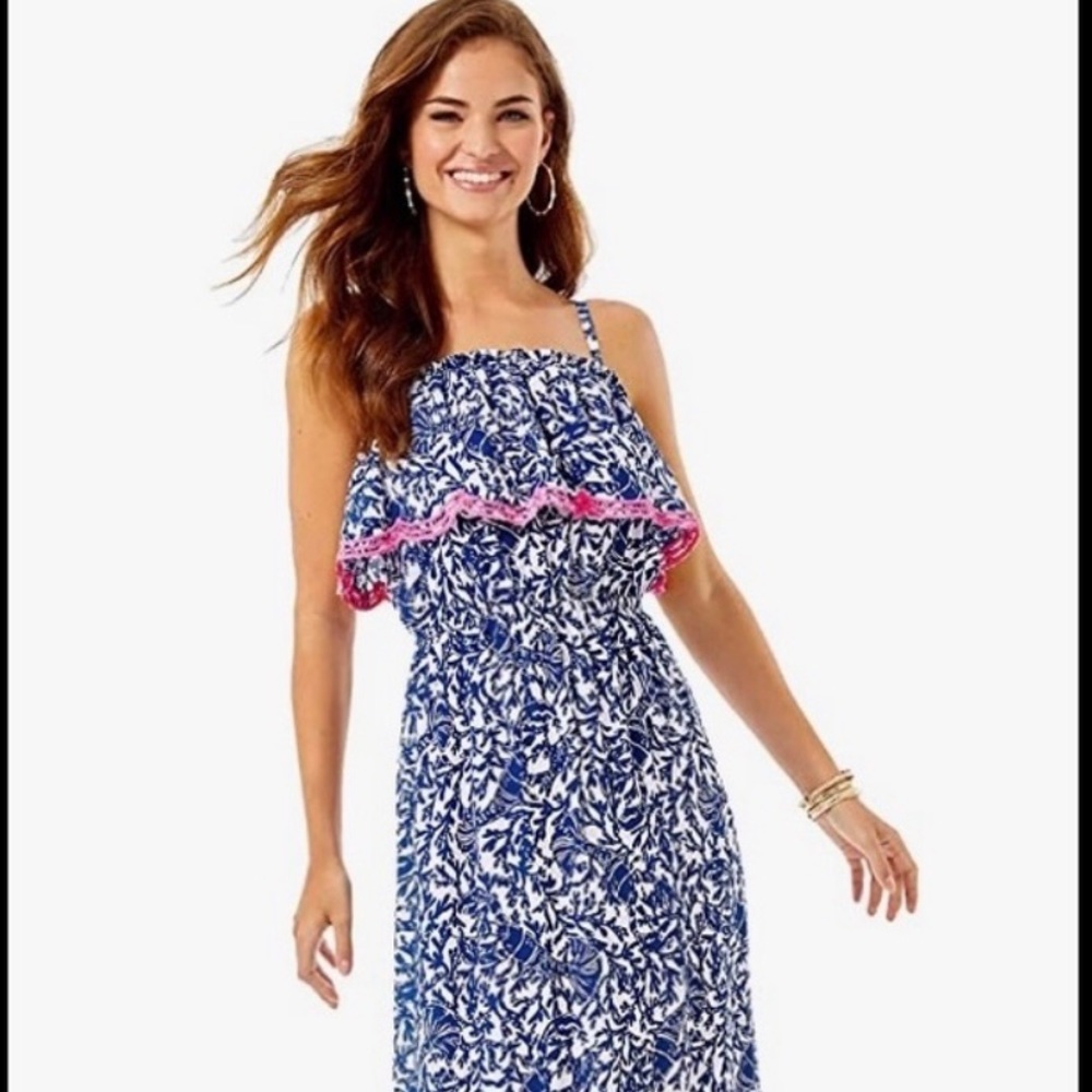 Lilly Pulitzer Aida Maxi Dress-practically new